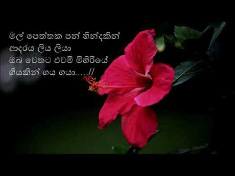 මල් පෙත්තක පන් හිඳකින් | Mal Peththaka Panhindakin - Romlas Perera - Premakeerthi De Alwis