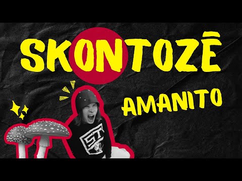 Hiphopā sastopama sēne | Amanito | SKONTOZĒ