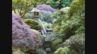 pendragon comatose 0001