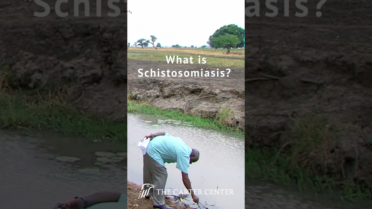 How The Carter Center Fights Schistosomiasis