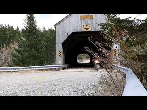 PADRE E HIJO (Cover en Español) Cat Stevens - Father and Son