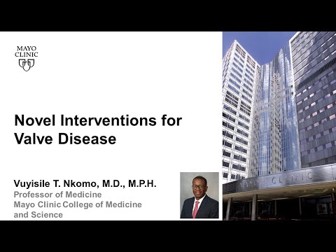 Novel Interventions for Valve Disease