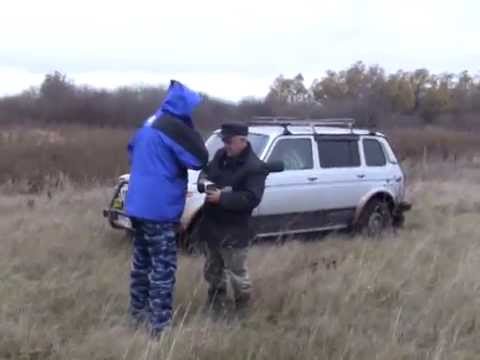 Два жителя Челно-Вершинского района задержаны за убийство лося
