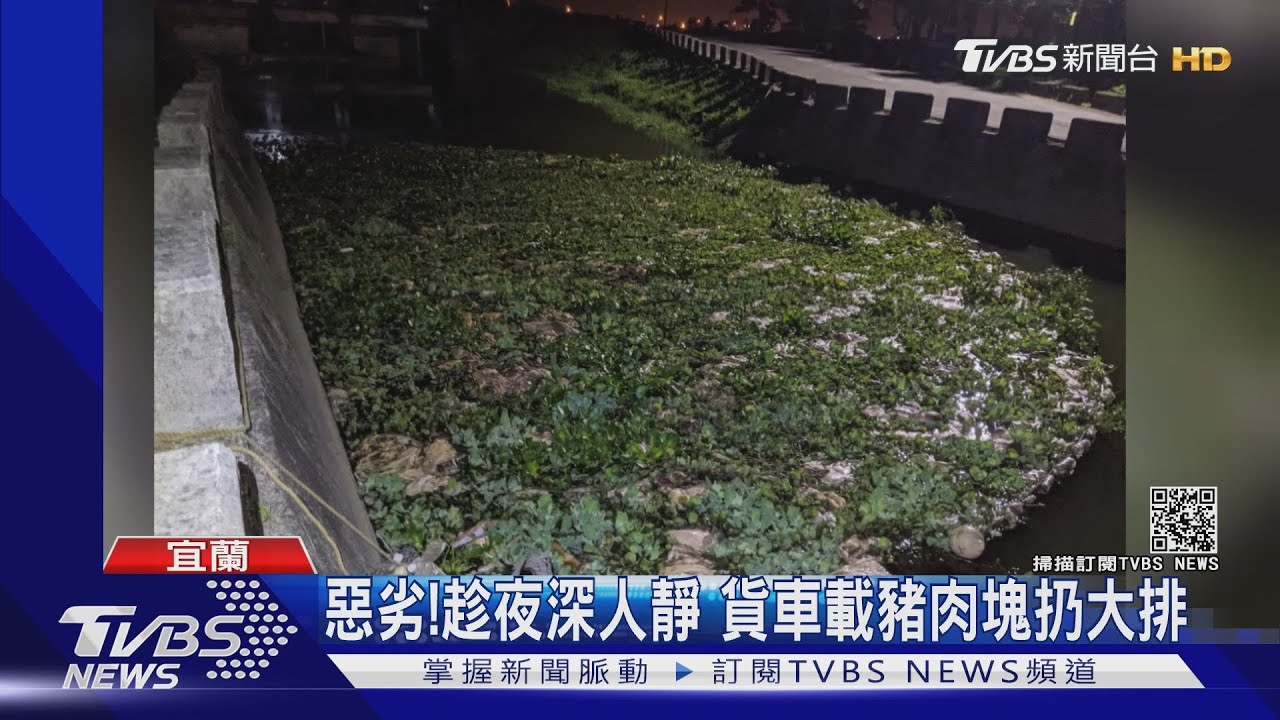 惡劣！宜蘭4人趁半夜嘸人「亂扔豬肉塊」進大排　清出2.5噸
