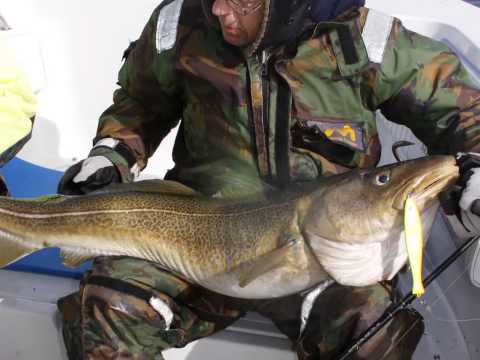 vaeröy vecka 17 2013