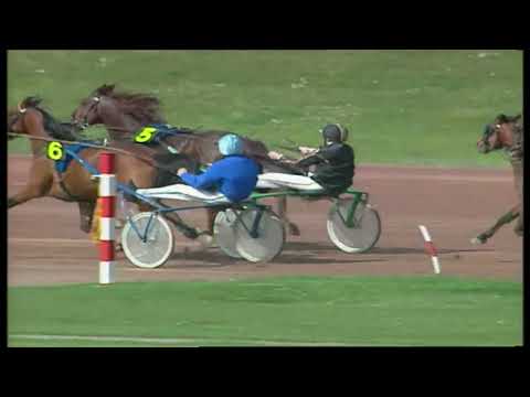 Coktail Jet, le trotteur supersonique