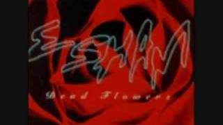 ESHAM / WHAT DID I DO WRONG ?