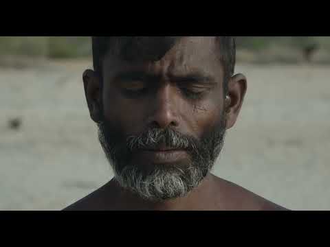 Trevor Hall x Marieme - 2 Oceans (Official Music Video)