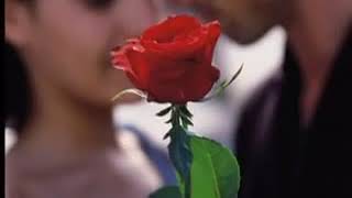 Yanni - Leslie Mills - Before the Night Ends