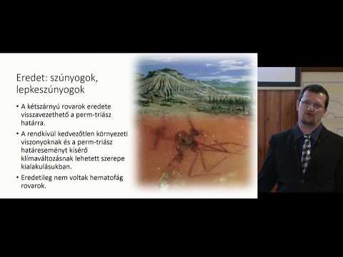 módszerek a bélféreg peték székletének vizsgálatára