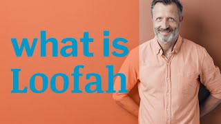 Loofah | Definition of loofah