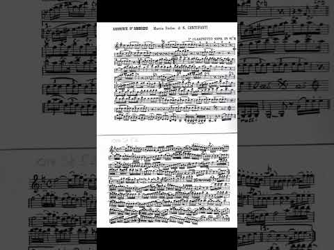 Armonie D'Abruzzo - Nicola Centofanti (Marcia sinfonica)