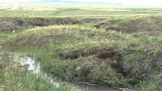 Climate Change May Have Sparked Arctic Fire