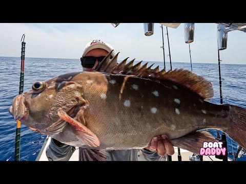 BIG FISH at Islamorada humps {fish head soup}
