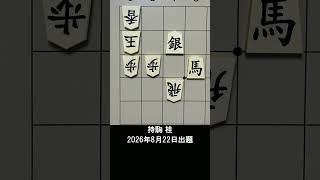 【詰将棋・5手詰】銀と馬のコンビネーション炸裂！守りの飛車を蹴散らす必殺の一撃は？ #もりけん #詰将棋 #TsumeShogi #Shogi #shorts