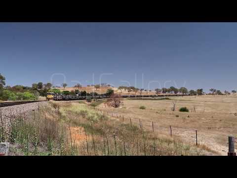 RailGallery_20170115_411 | 81 Class | Pacific National