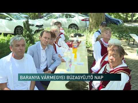Magyarok kenyere - Búzagyűjtő Nap, Somberek