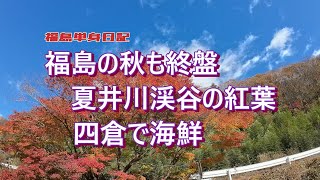 【福島単身日記】今シーズン最後の紅葉　夏井川渓谷と海鮮を堪能！