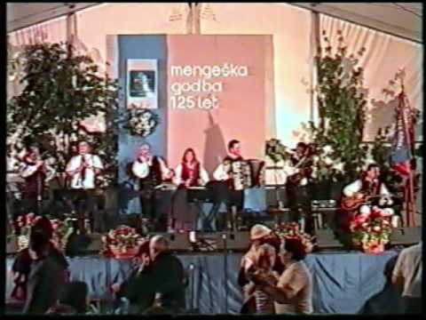 Slovenski muzikantje - Veseli muzikant