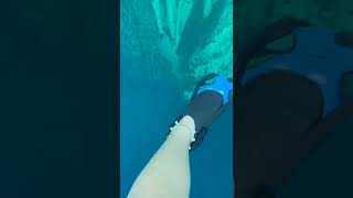 Download lagu yang phobia perairan luas dan dalam jangan di tonton!!! #thalasophobia #deepsea #foryou #share #fyp mp3