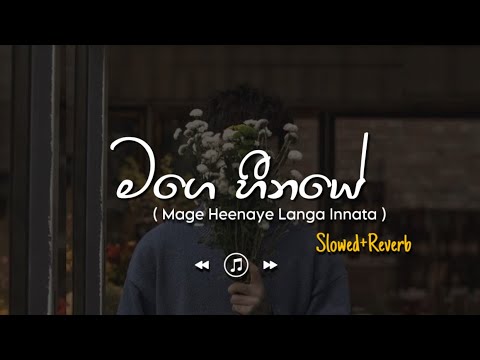 Mage Heenaye - මගෙ හීනයෙ (Slowed+Reverb)