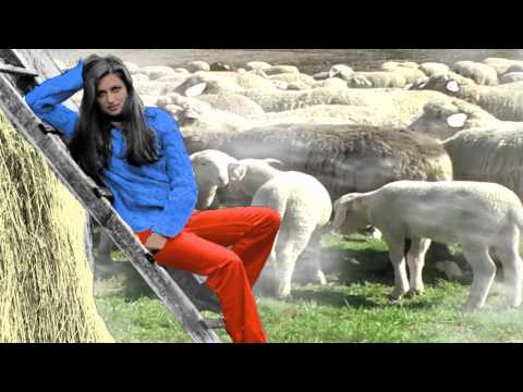 Lo splendore di pelle da pigmentary nota risposte Epatite di pigmentary di un posto