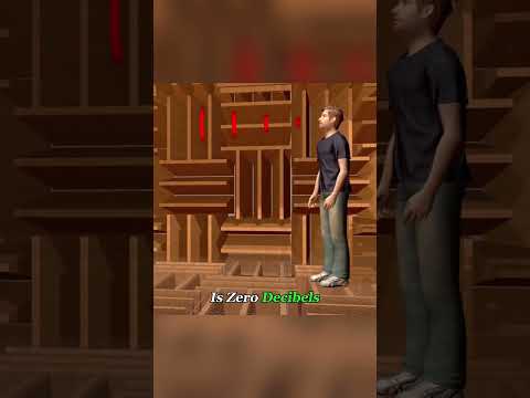 Survive 1 Hour in This Room, Win $5 Million#challenge #quietestroom #rewards #gamtng