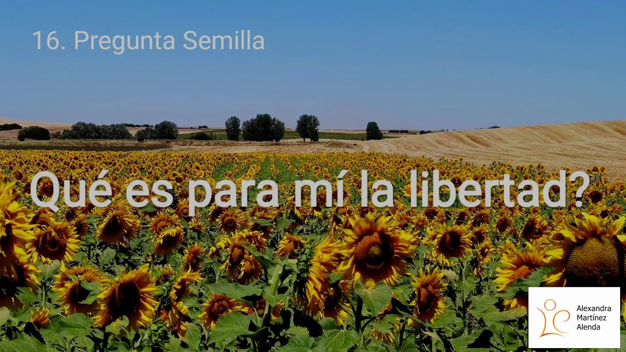 <b>Pregunta 16:</b> ¿Qué es para mi la libertad?