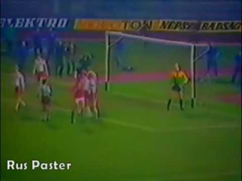 EURO-1984. Qualifiers. Group 3. Hungary - Denmark. Highlights.