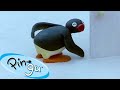 Pingu Gets Into Mischief Pingu Official Channel Cartoons For Kids