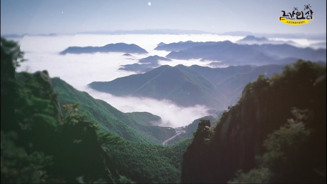 Geumsan Ginseng Promotional Video