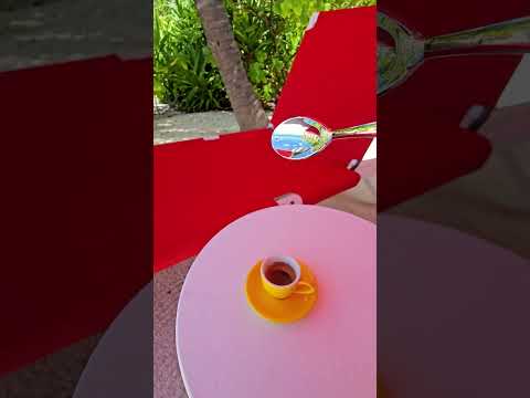 Videos del Oaga Art Resort Maldives 5★ en Atolón de Malé Norte, MaldivasVer MásVerPrecios8CerrarConsulta por Whatsapp 🇦🇷BookingTripadvisorExpediaTripSkyscannerKayakHotelesDestinia