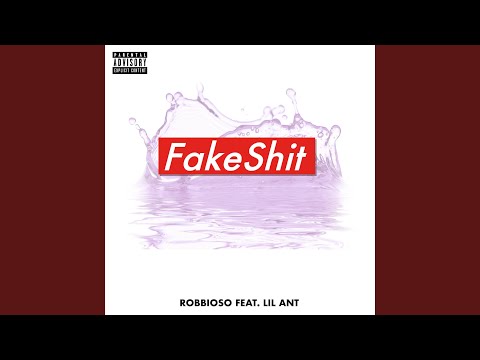 Fake Shit (feat. TWT LIL ANT)
