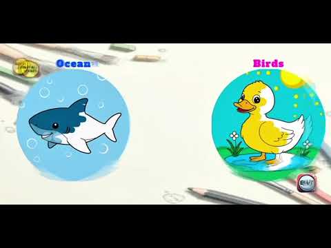 FunColor: Coloring for Kids