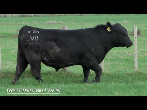 Lot 21  SEVEN HILLS V26 PV