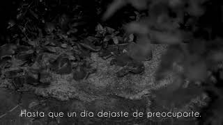 Dream Theater - Beneath The Surface (Subtitulada al español)