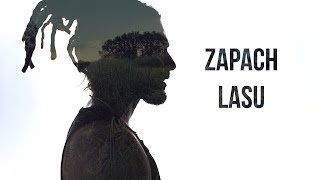 Kadr z teledysku Zapach Lasu tekst piosenki Mesajah