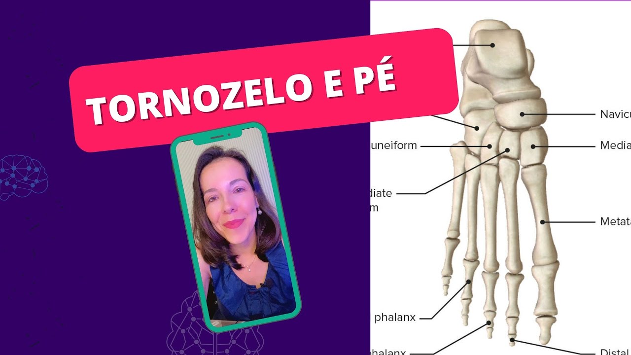 Resumão de TORNOZELO E PÉ: articulações, movimentos, funcionalidade