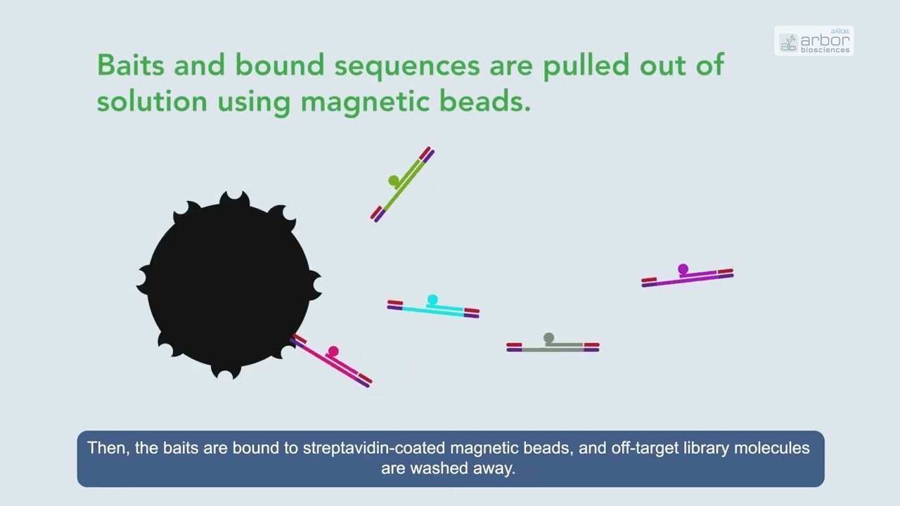 Targeted Next-Generation Sequencing with myBaits