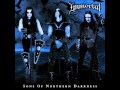 Immortal - Beyond The North Waves [High Quality, 320 Kbps]