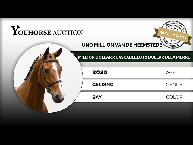 Uno Million van de Heemstede