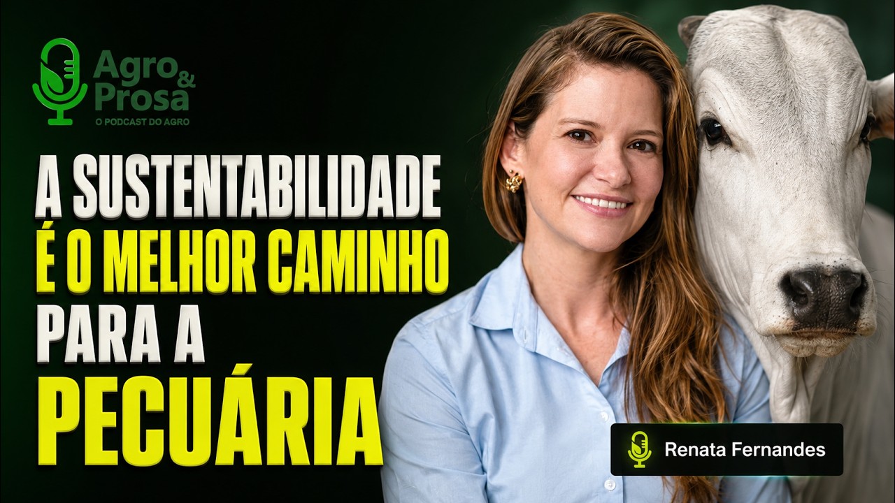 Pecuarista sustentável pode acessar crédito mais barato