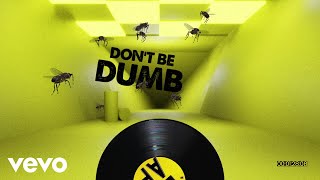Don't Be Dumb Music Video