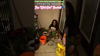 Don’t Buy Herbs Again… Watch This 🌿 (Wet Girlies) #bucketgarden