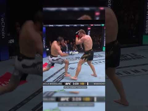 How Islam DESTROYED JDM🤯 #ufc #ufc322