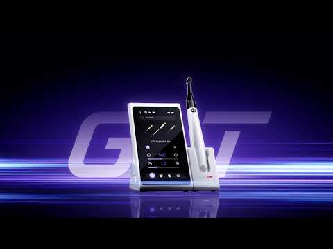 Woodpecker Endo Motors - Endo Pro GT