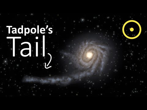 The Tail of The Tadpole Galaxy