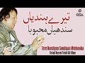 Tere Hondiyan Sondiyan Mehbooba Ustad Nusrat Fateh Ali Khan Official Version OSA Islamic