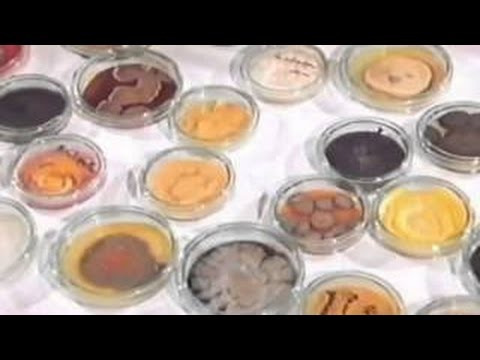 DOKU Terra X - 07 - Der Fluch des Pharao - Das Geheimwissen der alten Ägypter