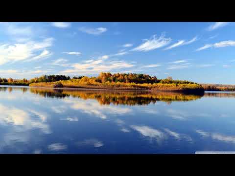 Oliver Imseng - Metaversal [Pure Trance]